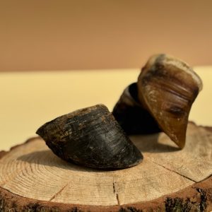 pezuÑa de res