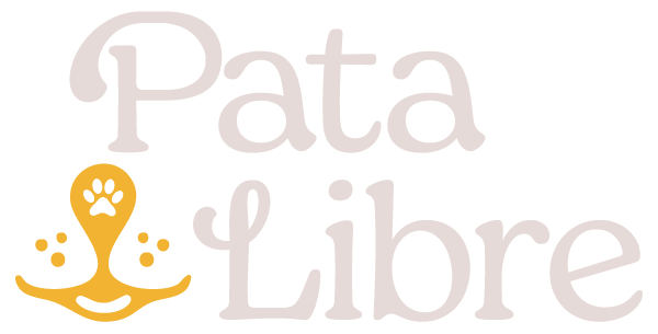 logo footer